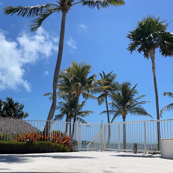 Meet your Posher, Kyle - Picture 1 of 1